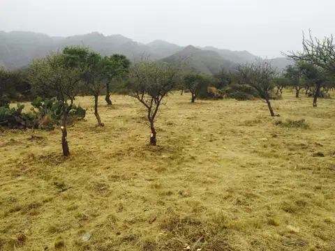 Terreno en Venta en Villa Larca, USD 19.000