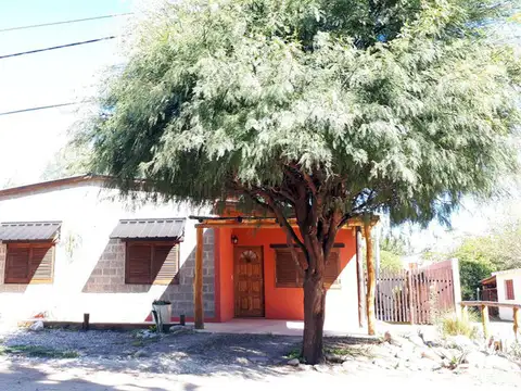 00360 Pajaro Carpintero