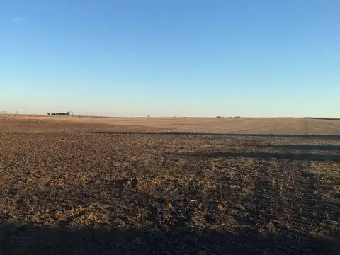 Campo en Portela, Baradero 27HA