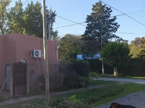 ARGERICH, MANUEL (OESTE) 1200