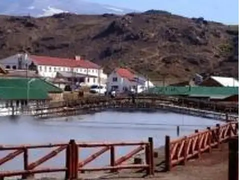 Arturo Fernandez 125