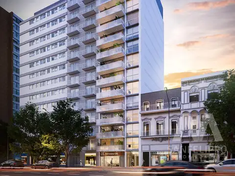 Local en Irigoyen al 1100