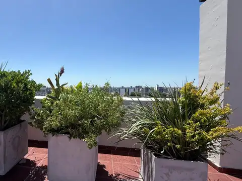 Departamento dividido