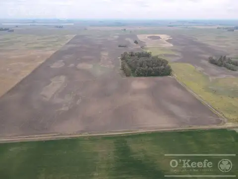 Campo en venta mixto de 338 has Bolivar