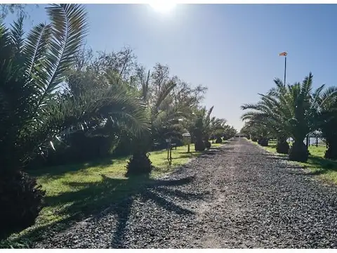 Terreno en Venta 50  mts Fondo