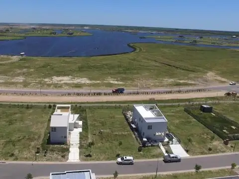 Araucarias - Puertos del Lago