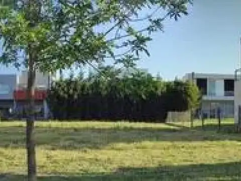 Araucarias - Puertos del Lago