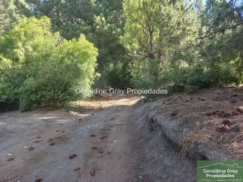 Terreno / Lote en venta de 2004m2 ubicado en Chapelco Golf & Resort