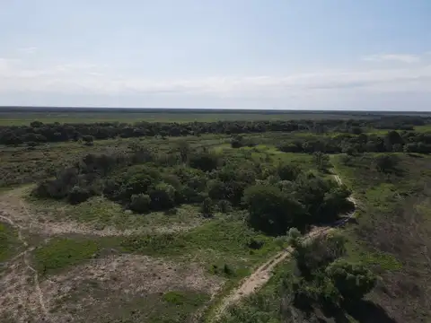 Campo en Venta de 3.356  ha