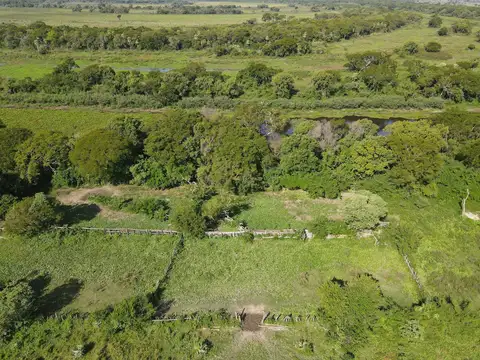 Campo en Venta Ganadero