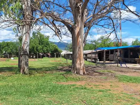 Terreno en Venta de 20200,0 m2