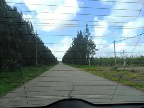 Campo en Venta Agricola