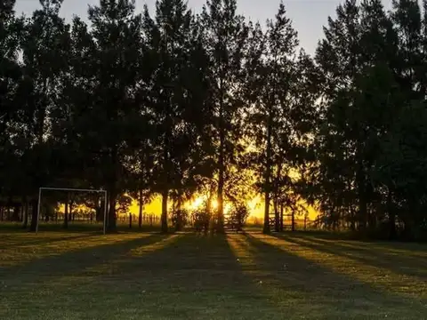 VENTA CHACRA 4 HA, EN GRAL LAS HERAS