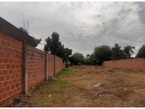 Terreno en Alquiler 66,60  mts Fondo