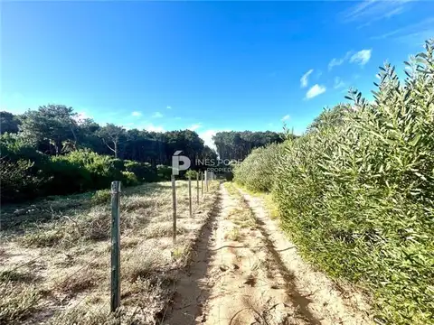 La Carolina ruta Interbalnearia km 108