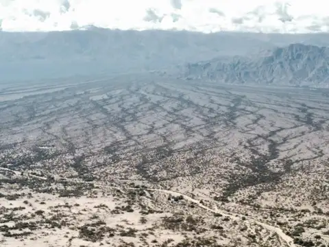 VENTA 2910 HECTAREAS- LA BANDA- V. CASTELLI