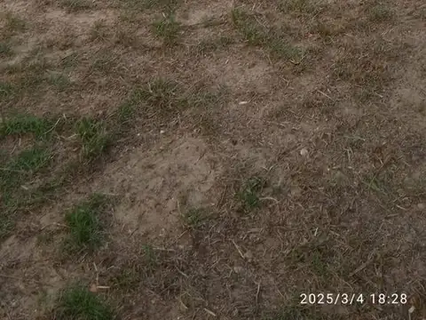 Calle 34 y calle 3 100