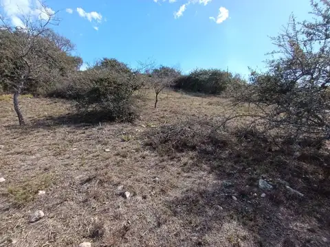 Terreno en Venta de 750,0 m2