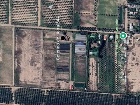 VENTA TERRENO 9,8 HECTÁREAS, CRUZ DE PIEDRA, MAIPÚ