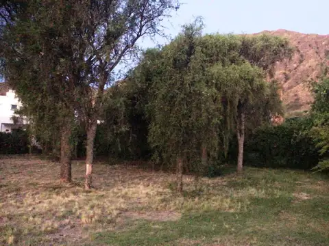 Terreno - Venta - Argentina, San Luis