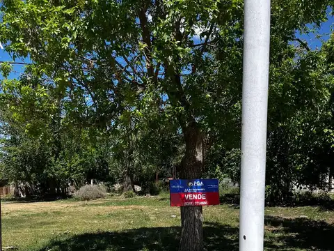 Terreno en Venta 43  mts Frente