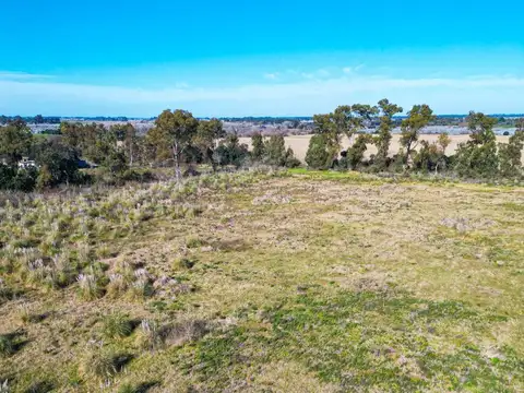 Terreno en Venta 12  mts Frente