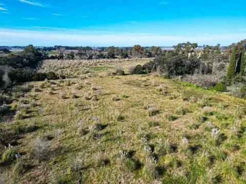 Terreno en Venta 44  mts Fondo