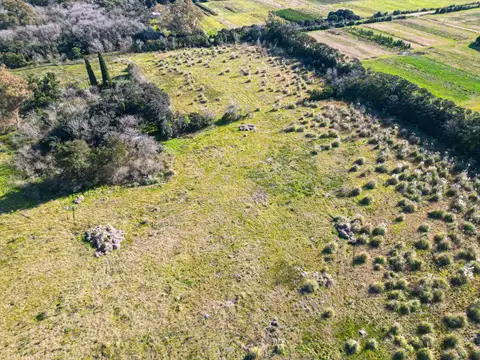 Terreno en Venta en Arana, USD 12.500