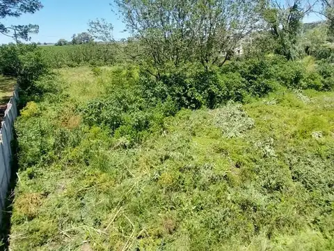Terreno en Venta 60  mts Fondo