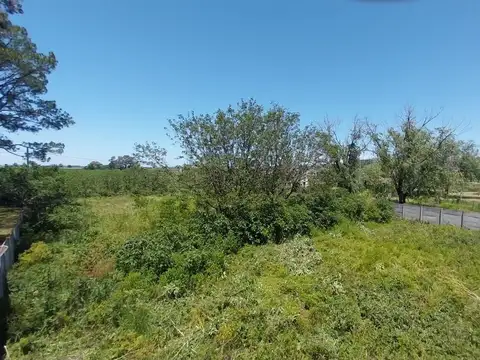 Terreno en Venta en Firmat, USD 48.000