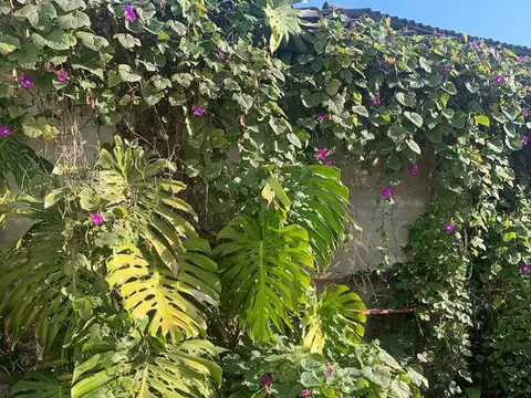 RUTA 25 MATHEU HIPOLITO YRIGOYEN AL 800