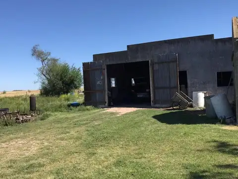 CAMPO AGRICOLA 7HAS. CARMELO-URUGUAY