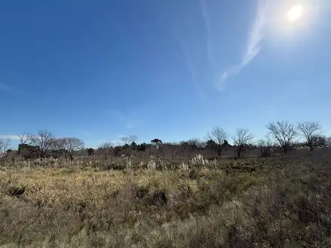 Hectareas en venta Joaquin Gorina