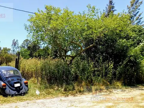 lote en venta de 20 x 50 en La Hermosura