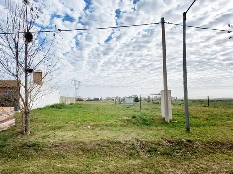 Rigoberta Menchú 150