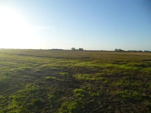 33 Has Zona Bella Italia