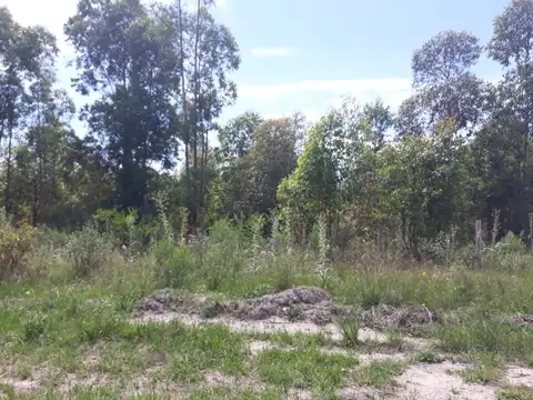 AV. MIGUEL HUARTE ( RUTA 015)