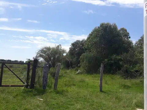 Terreno en Venta 292,45  mts Frente