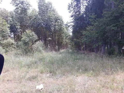 Terreno en Venta 292,45  mts Fondo