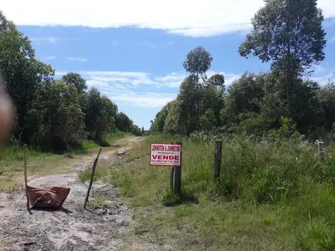 AV. MIGUEL HUARTE ( RUTA 015)