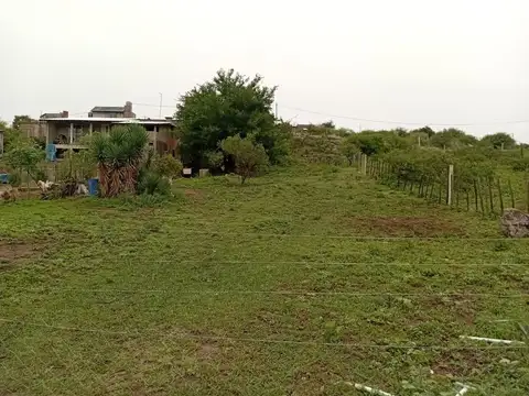 General José Artigas 100