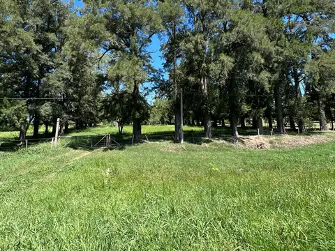 Terreno en Venta 80  mts Fondo