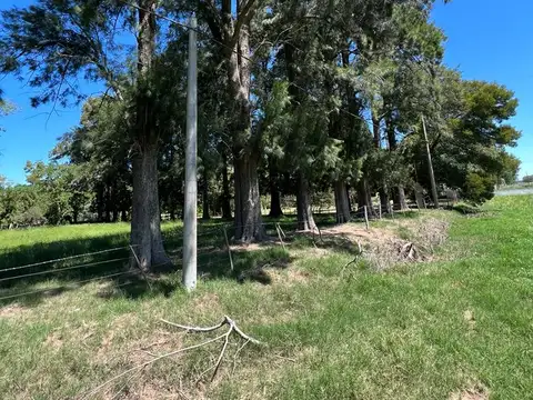 AMPLIO PREDIO CON FRENTE RUTA NACIONAL 205 - LOBOS
