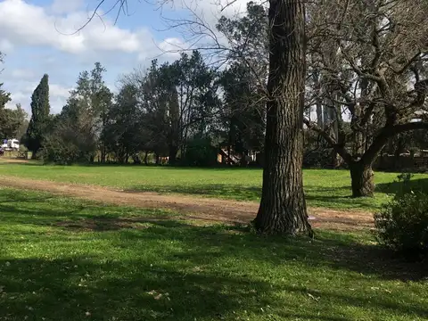 Terreno en Venta en Baradero, USD 270.000