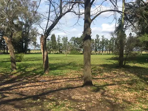 5 Ha. Increíble ubicación para inversión/ Fabrica - Ruta 9 - Acceso Baradero