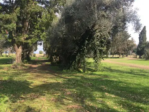 5 Ha. Increíble ubicación para inversión/ Fabrica - Ruta 9 - Acceso Baradero