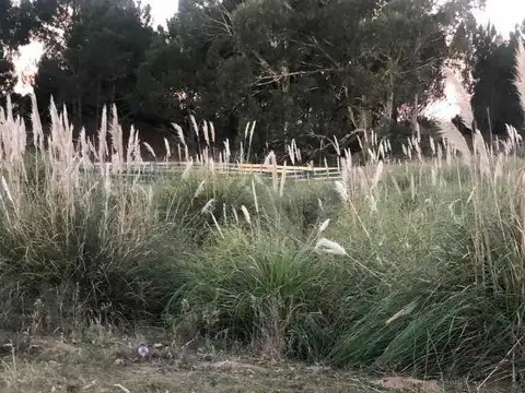 Terreno en Venta en Pinamar, USD 150.000