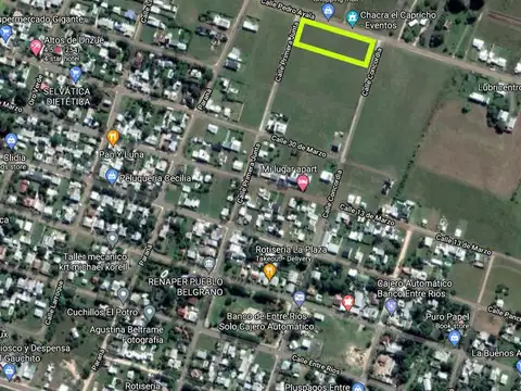 Don Pedro Ayala y Primera Junta  M 87 L5