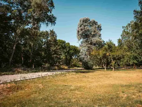 Lisandro de la Torre y Echague 100