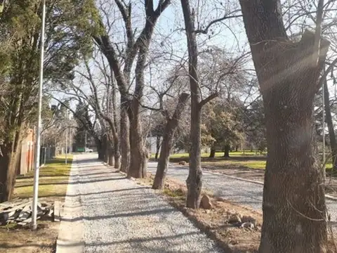 Terreno en Venta de 220,0 m2